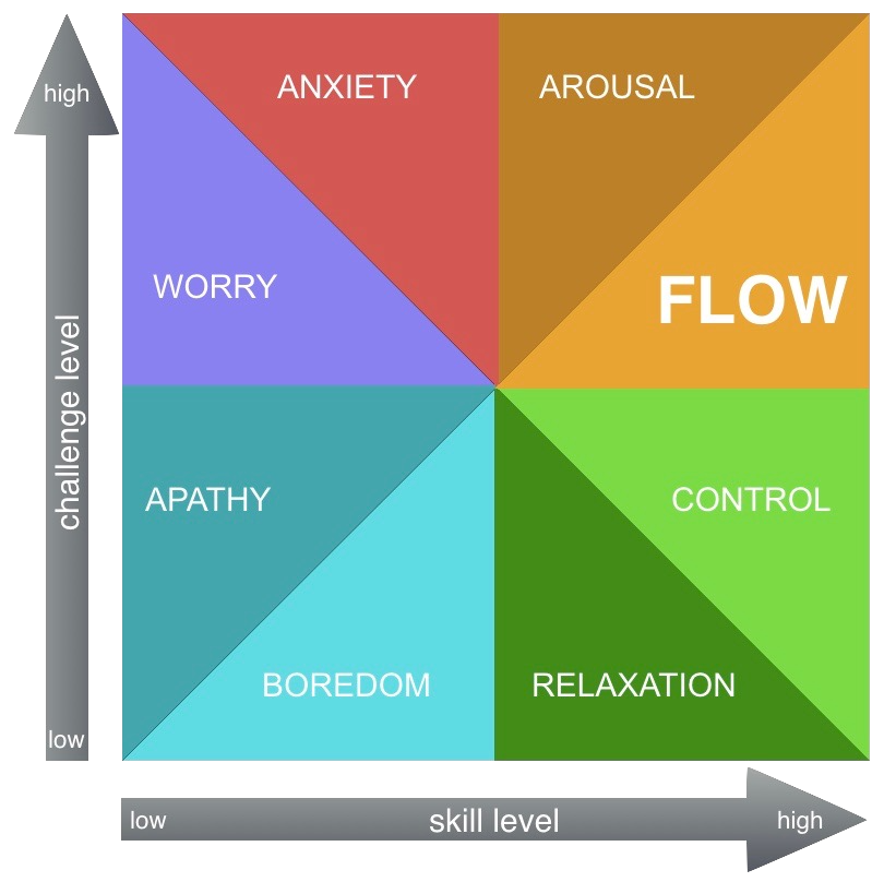 Flow Experience