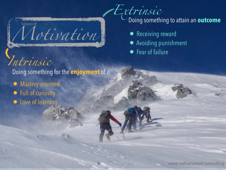 Sources of Motivation | Nathan Wood Consulting