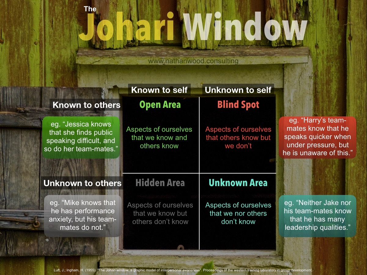 The Johari Window | Nathan Wood Consulting
