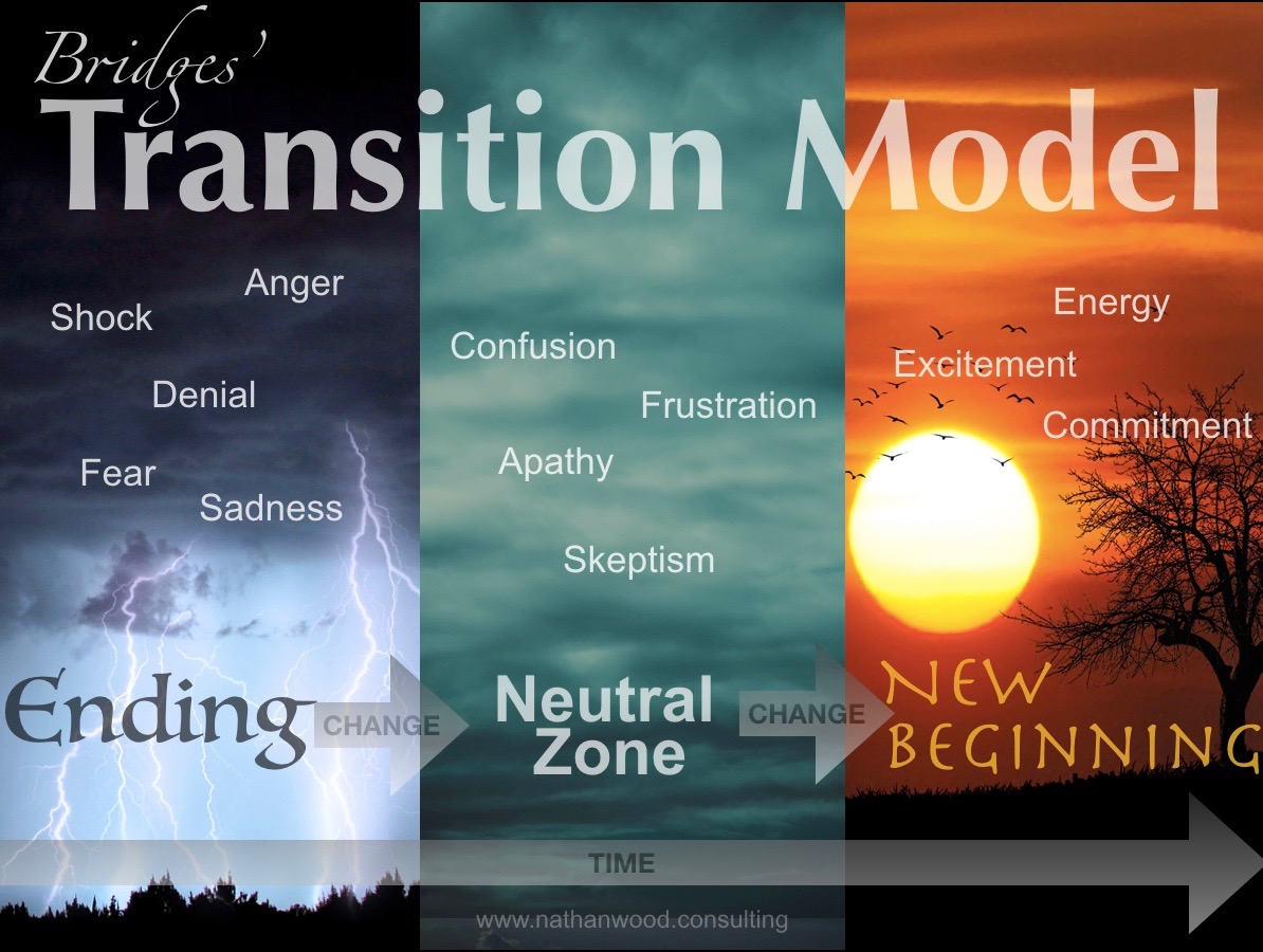 Bridges Transition Model | Nathan Wood Consulting